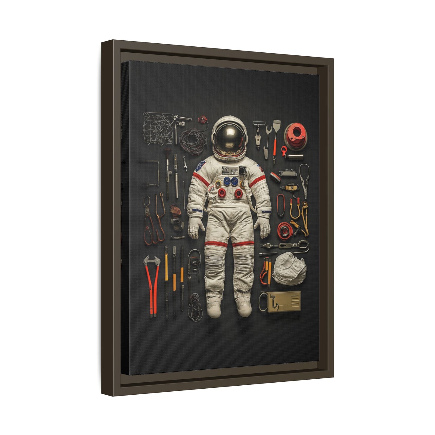 Astronaut Framed Canvas